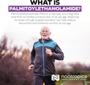 nootropics-depot-palmitoylethanolamide-c-5.jpg
