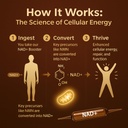 nad-advanced-cellular-renewal-1200mg-nad-3.jpg