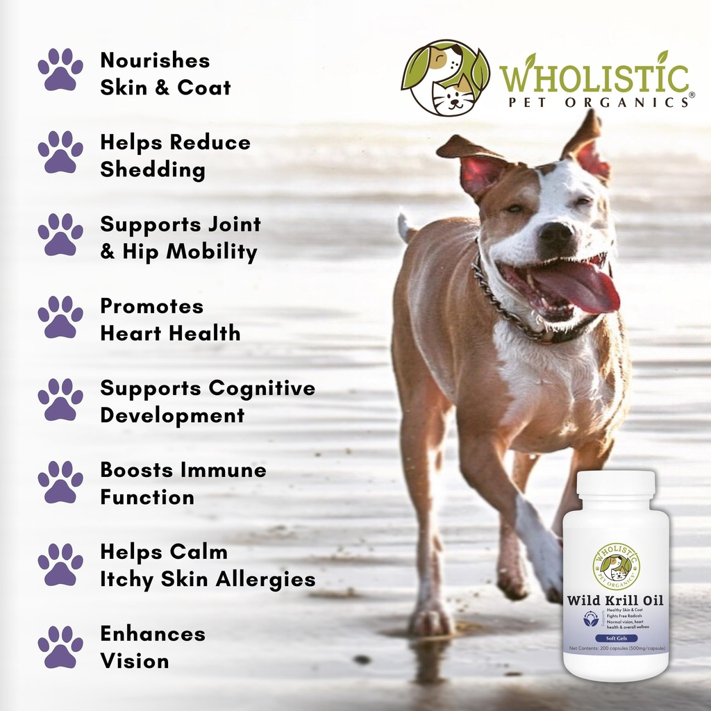 wholistic-pet-organics-krill-oil-for-dog-3.jpg