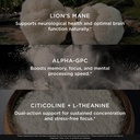 the-genius-brand-genius-mood-focus-nootr-4.jpg