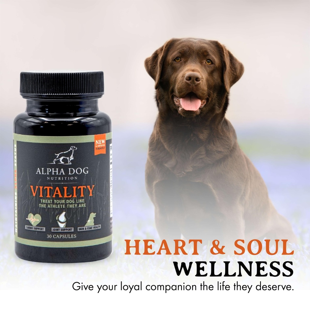 krill-oil-for-dogs-vitality-by-alpha-dog-5.jpg