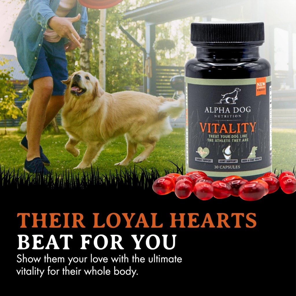 krill-oil-for-dogs-vitality-by-alpha-dog-6.jpg