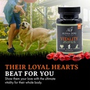 krill-oil-for-dogs-vitality-by-alpha-dog-6.jpg