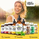 wild-organic-lemon-balm-tincture-good-mo-5.jpg