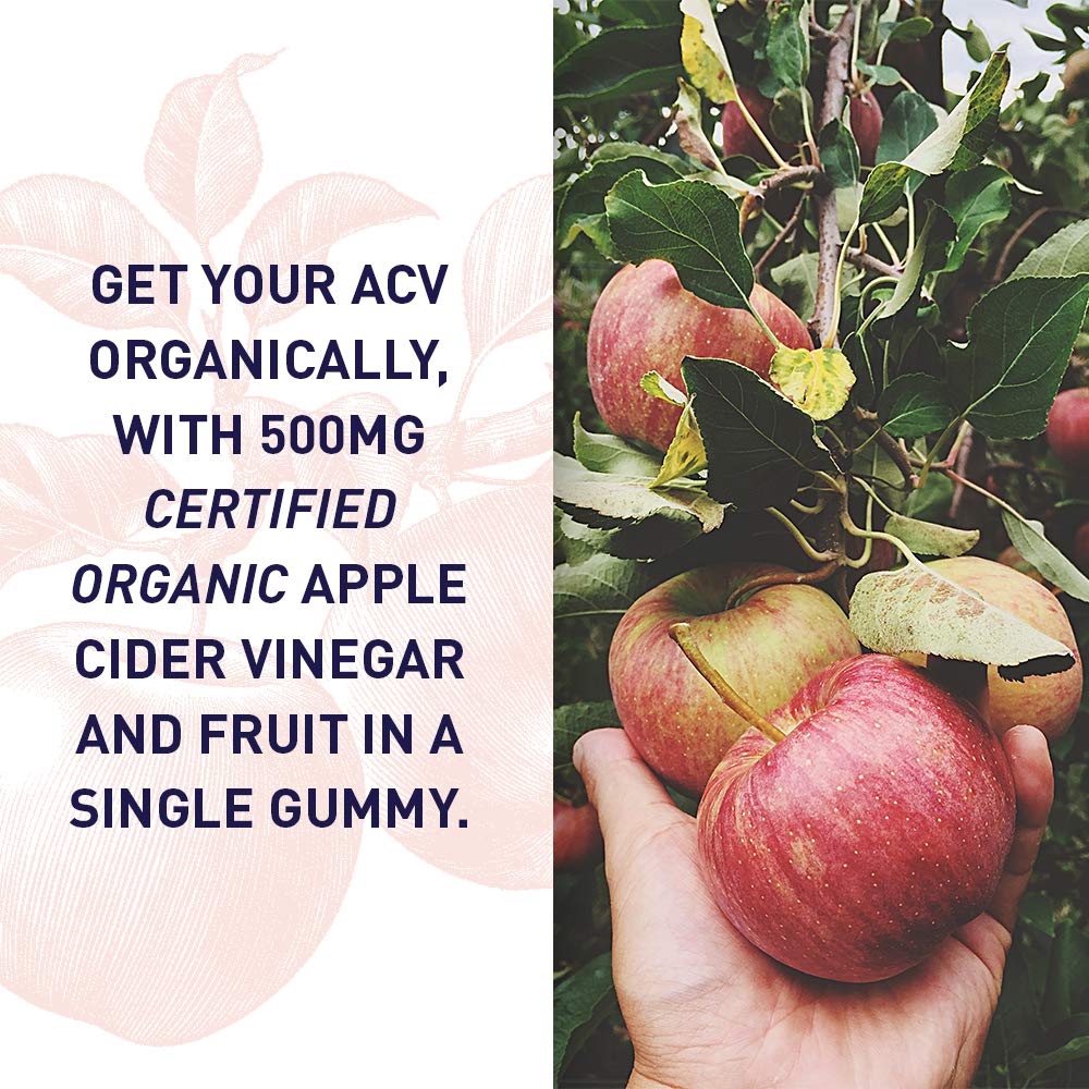 garden-of-life-organics-apple-cider-vine-2.jpg