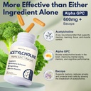 acetylcholine-supplements-with-alpha-gpc-3.jpg