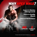 2-pack-apex-male-capsules-official-apexm-4.jpg