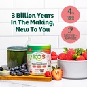kos-organic-superfood-greens-powder-gut--5.jpg