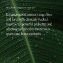 juna-gut-therapy-l-glutamine-amino-acids-3.jpg