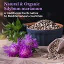 vitalitown-organic-milk-thistle-antioxid-4.jpg