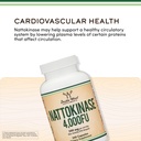 nattokinase-supplement-4-000-fu-servings-4.jpg
