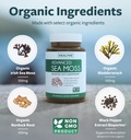 black-seed-oil-irish-sea-moss-3-month-su-5.jpg