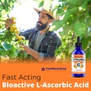 liquid-vitamin-c-4oz-120-servings-organi-4.jpg