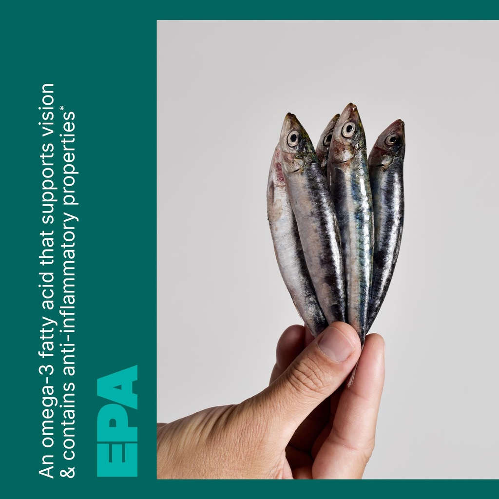 swisse-wild-fish-oil-omega-3-supplements-4.jpg