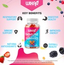 wixar-naturals-9-in-1-immune-support-gum-4.jpg