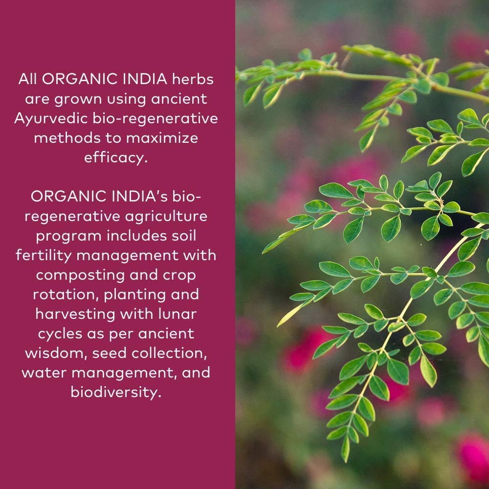 organic-india-ashwagandha-powder-organic-3.jpg