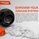 quercetin-with-bromelain-supplement---15-4.jpg