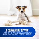 nutramax-cobalequin-b12-for-dogs-and-cat-3.jpg