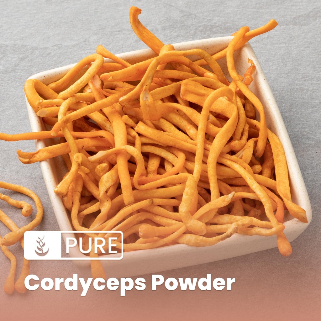 pure-original-ingredients-cordyceps-8oz--3.jpg