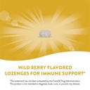 nature-s-way-zinc-lozenges-with-vitamin--4.jpg