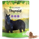 Herbs Tiroides de Plata Soporte para Caballos – Herbal Horse Supplement for Normal Thyroid Function, Hormone Balance & Healthy Metabolism with Irish Moss, Kelp, Parsley – 120-Day Supply