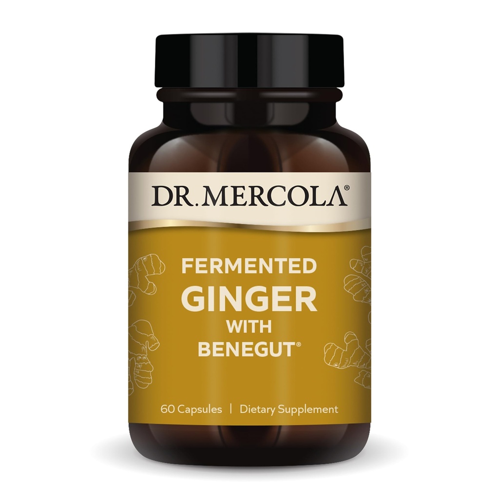 Dr. Mercola Fermented Ginger con Benegut - Asistencia Digestive & Gut Health - Ayudas Occasional Gas, Bloating & Discomfort - Non-GMO, Gluten-Free &amp; Soy-Free - 60 cápsulas (60 piezas)