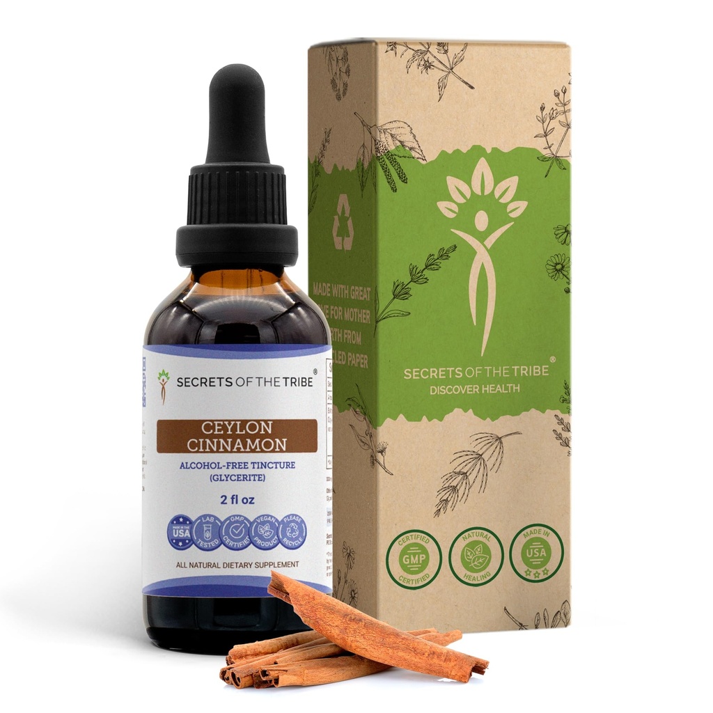 Secretos de la Tribe Ceylon Canela Tintura Extracto líquido libre de alcohol, Ceylán Canela (Cinnamomum Verum) Barco seco (2 FL OZ)