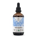 Astragalus USDA Orgánica Extracto Libre de Alcohol Silencioso Suplemento dietético, Tintura de alta potencia tención Natural Certified Organic Astragalus (Astragalus membranaceus) Root seco (4 oz)