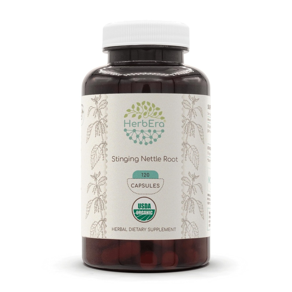 HerbEra Stinginging Nettle Root USDA 120 Cápsulas Orgánicas Silencio Natural Herbal Suplemento Silencio Certified Organic Vegetarian Capsules and Organic Stinginging Nettle (Urtica Dioica) Dried Root (120 Cápsulas)