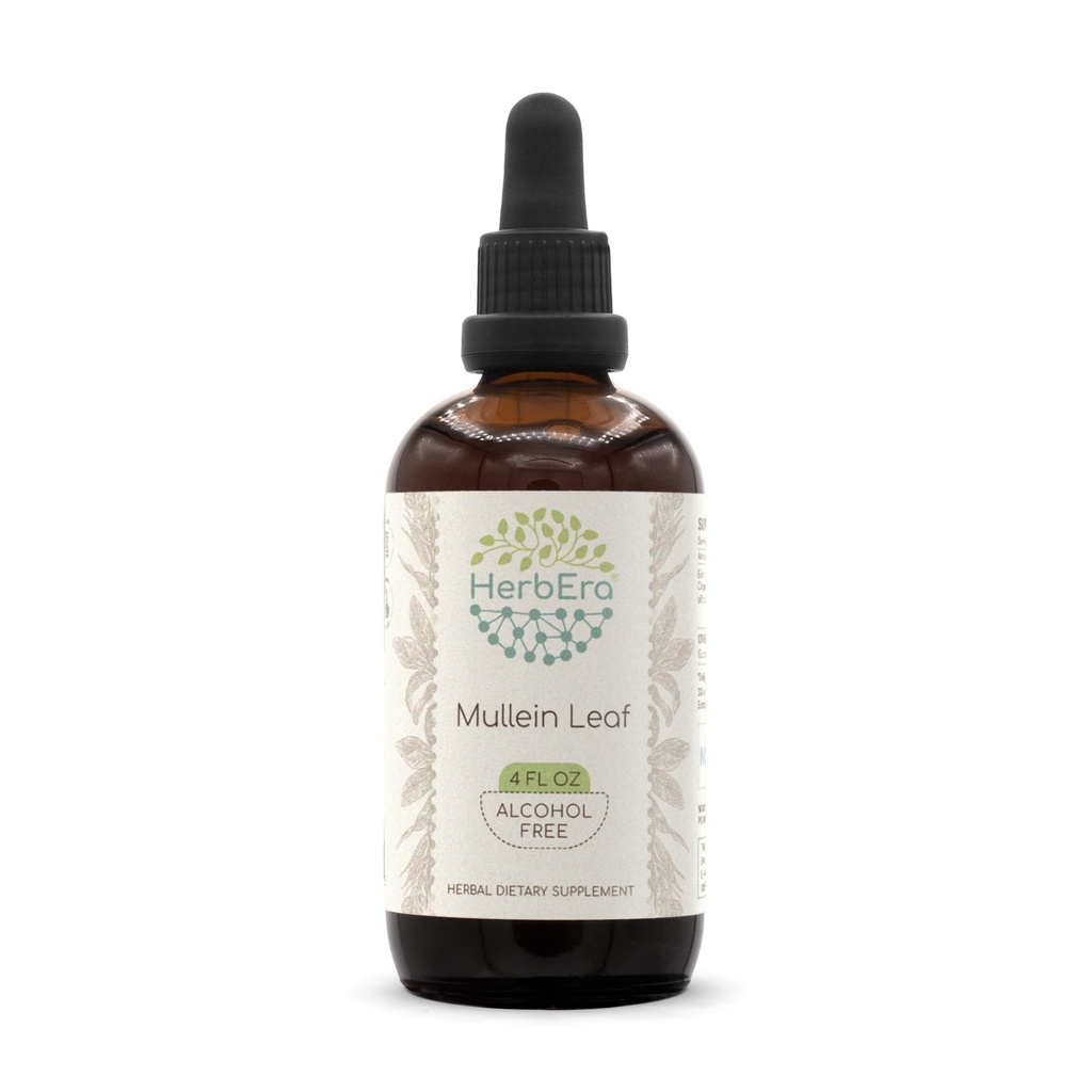 Mullein Leaf B120 Extracto herbal libre de alcohol Tintura, Mullein superconcentrado (Verbascum thapsus) Hoja seca (4 fl oz)