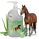 Doc Hoag’s Aloe Vera+Agave Premium Horse Supplement – Made in USA – Original Udder Balm – Natural Gastric Support for Horses & Large Animals – Stress Relief & Ulcer Care, 128 Fl Oz.