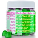 Moringa Irish Sea Moss Chlorophyll EGCg Green Tea Burdock Root Bladderwrack Super Greens Gummies, Powder Capsules Pills Liquid Drops Oil Tincture Suplemento Suplementos Alt, Organic Green Seamoss