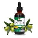 Respuesta de la naturaleza Extracto de la hoja de oliva, libre de alcohol, no GMO, Vegan, libre de gluten, hecho en EE.UU., 2 onzas vivieron Extracto de la hoja de oliva para bienestar