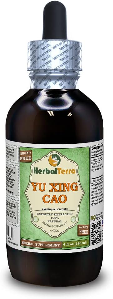 Yu Xing Cao (Houttuynia Cordata) Glycerite, Dried Herb Extracto líquido libre de alcohol (Marca: HerbalTerra, Proudly Made in USA) 4 fl.oz (120 ml)