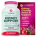 Suplemento de soporte para el riñón de premium – Detox de limpieza del riñón " Reparación con extracto de arándano " Astragalus - 21-in-1 Apoyos complejos Hoja normal, Urinary Tract " Kidneys Health - 120 Day Supply
