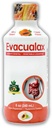 Senna Líquido Laxante para Adultos &amp; Niños - Papaya Flavor, Natural Senna Leaf & Prune - Suave para el alivio del estreñimiento - Herbal Syrup for Bowel Support, Digestive Cleanse - 8oz