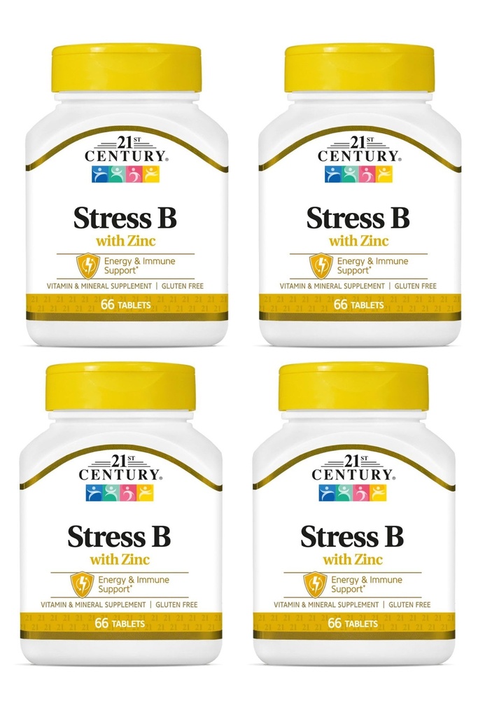 21st Century Stress B W/Zinc 66 Conde (4 Pack)