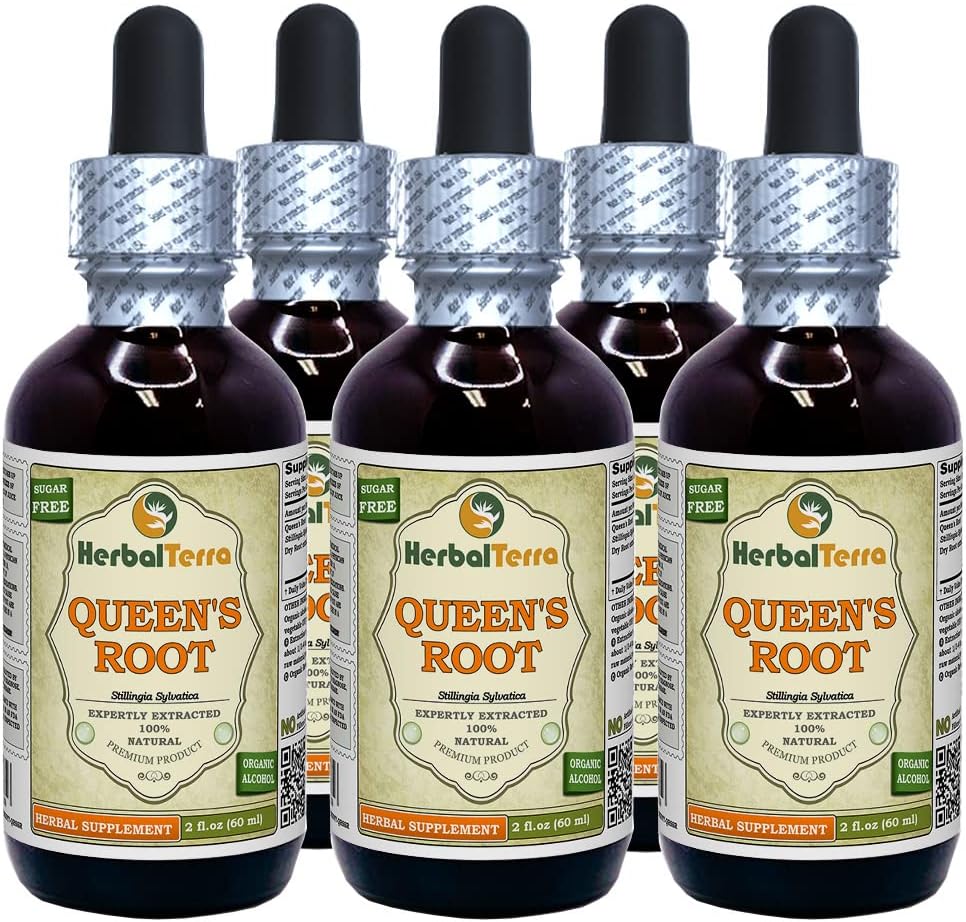 Root de Queen (Stillingia Sylvatica) Tintura, Botas secas Extract líquido (Marca: HerbalTerra, Proudly Made in USA) 5x2 fl.oz (5x60 ml)