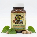 Kava Capsules ← Authentic Kava Kava de Fiji ← Fast Acting Kava Extract
