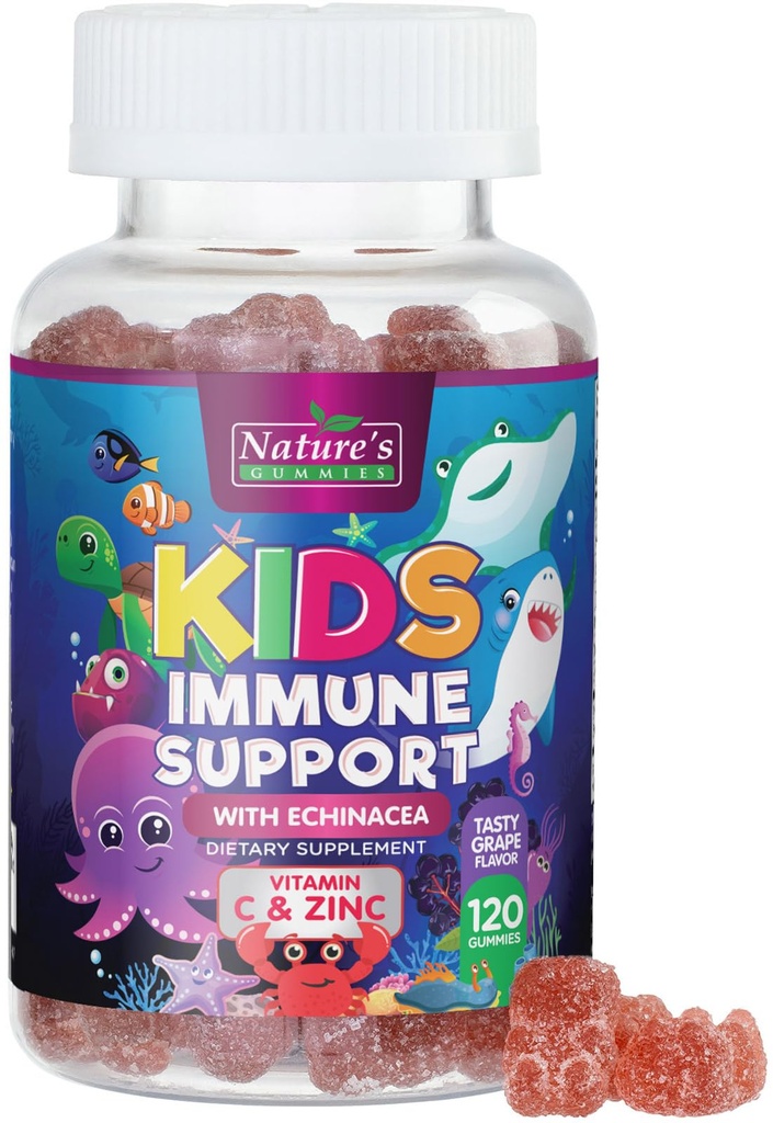 Niños de apoyo inmunológico Suplemento Gummies - Daily Childrens Vitaminas C, Zinc &amp; Echinacea - Gummy for Kids Immunity Support, Ages 4 and Up, Natural Berry Flavor, Non-GMO, Gluten-Free & Vegan - 120 Gummies