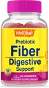 WellSí Prebiotic Fiber Gummies for Adults Fiber Supplement for Women and Men - Digestive Health Fiber Supplements - Vegan, Gluten-Free, and Non GMO - Berry Flavor - 60 Count