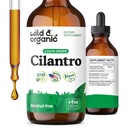 Tintura de cilantro silvestre - gotas de desintoxicación herbal con extracto de cilantro - suplemento de hoja de coriandro líquido - gotas veganos, azúcar y sin alcohol - 4 fl oz