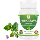 Punarnava Capsules (Boerhaavia Diffusa) 500mg – 60 Veg Capsules ← Herbal Wellness Supplement for Natural Kidney &amp; Liver Support latitud Plant-Based Detox &amp; Cleansing Fórmula Anterior Pack of 1