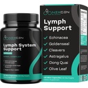 Herbal Lymph System Support Supplement - Lymphatic Support Complex with Echinacea Goldenseal Astragalus & Hydroxytyrosol for Lymphatic Drainage & Immune Support - Vegan Non-GMO Gluten Free (2 Mes)