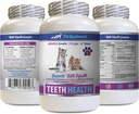 Bad Breath gato Treats - CAT Teeth Health - Advanced Mouth Health Complex - Immune Boost - biotina para gatos - 1 Botella (60 Tablets)