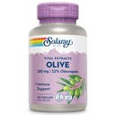 SOLARAY Olive 250mg - Extracto de hoja de oliva cápsulas con 22% Oleuropein, Plus Lemon Balm - Polyphenols Suplemento para Wellness Support - Vegan, 60-Day Guarantee, Lab Verified - 120 Servimientos, 120 VegCaps