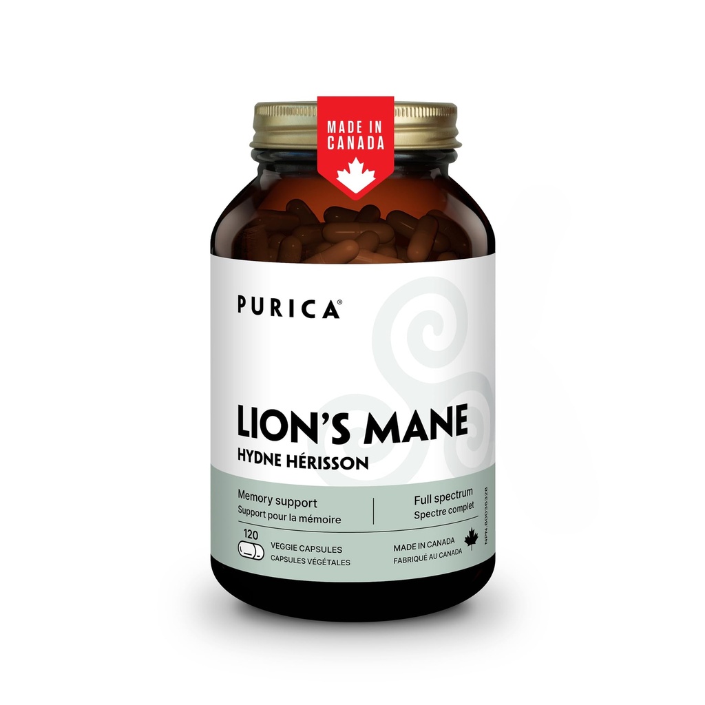 PURICA - Setas micronizadas Mane de León, 120 cápsulas veganas de 60 días de suministro - promueve la salud cognitiva - no GMO y libre de gluten - Focus and Memory Support - Brain Health y mejora la digestión