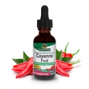 Respuesta de la naturaleza Extracto de frutas de Cayenne ← Ayuda a promover la salud digestiva  sometida Potentcy alta hecha con alcohol orgánico TEN Vegan, libre de gluten, no GMO > Kosher certificado 1oz