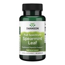 Swanson Spearmint Leaf (Mentha Spicata) - Full Spectrum Herbal Supplement Supporting Digestive Health & Mild Stomach Issues - Natural Formula Supporting Health & Wellness - (60 Capsules, 400 mg cada uno)