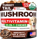 Mushroom for Dogs - 170 Chews - Turquía Tail - Mushroom Supplement for Dogs - Lions Mane - Reishi - Immunity Support Multivitamin Vitamins - Joint Health - Energy - Gut - Skin - Made in USA